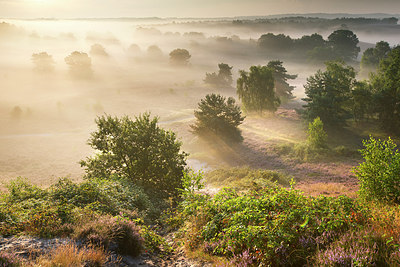 BUITEN BEELD Foto: 300469