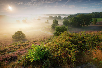 BUITEN BEELD Foto: 300471