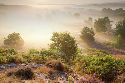 BUITEN BEELD Foto: 300472