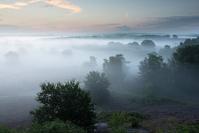 BUITEN BEELD Foto: 300478