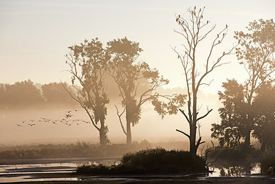 BUITEN BEELD Foto: 300483