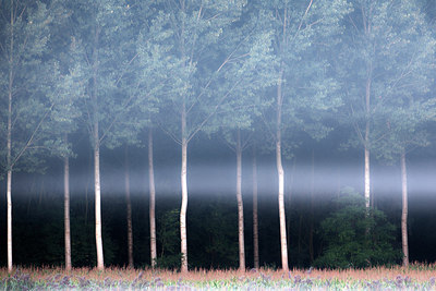 BUITEN BEELD Foto: 300484
