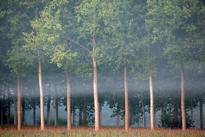 BUITEN BEELD Foto: 300485