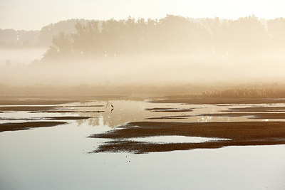 BUITEN BEELD Foto: 300490