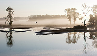 BUITEN BEELD Foto: 300492