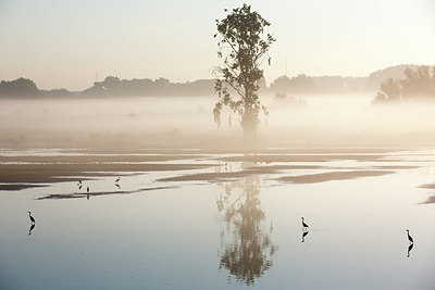 BUITEN BEELD Foto: 300496