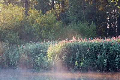 BUITEN BEELD Foto: 300505