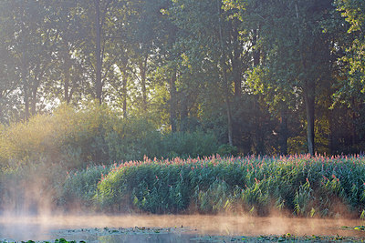 BUITEN BEELD Foto: 300506