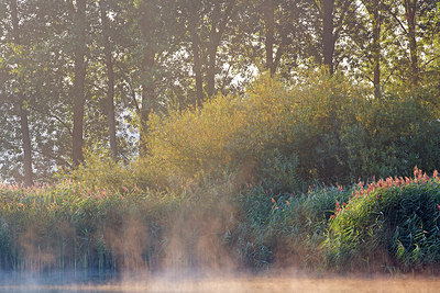 BUITEN BEELD Foto: 300507