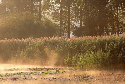 BUITEN BEELD Foto: 300509