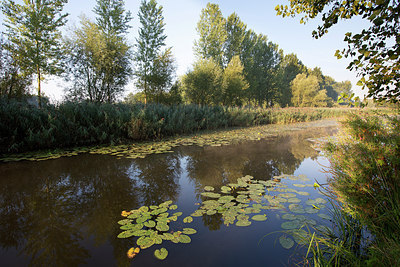 BUITEN BEELD Foto: 300517