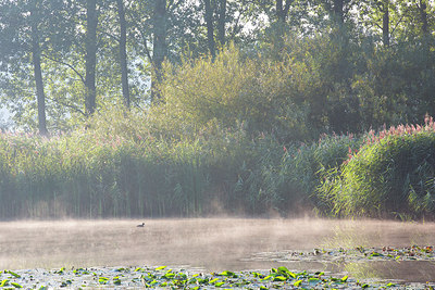 BUITEN BEELD Foto: 300520