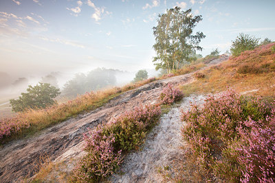 BUITEN BEELD Foto: 300522