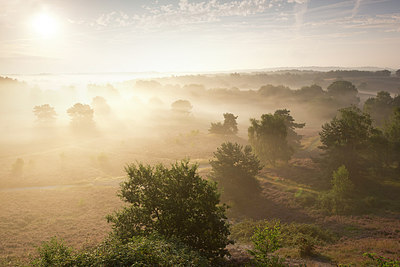 BUITEN BEELD Foto: 300525