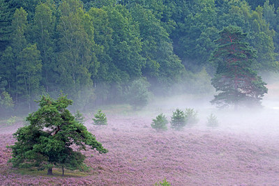 BUITEN BEELD Foto: 300531