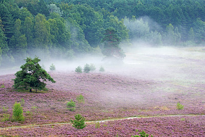 BUITEN BEELD Foto: 300532