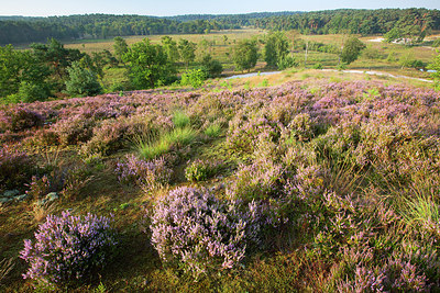 BUITEN BEELD Foto: 300536