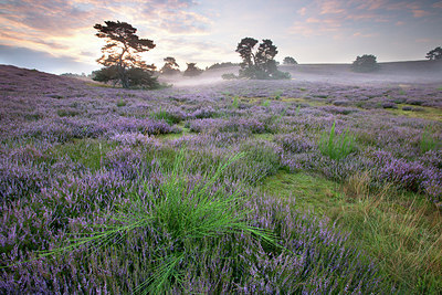 BUITEN BEELD Foto: 300537