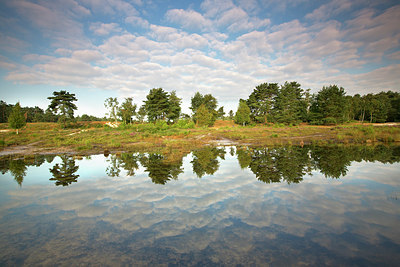 BUITEN BEELD Foto: 300543