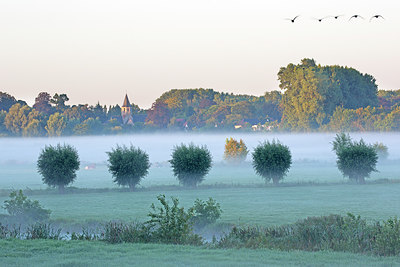 BUITEN BEELD Foto: 300547