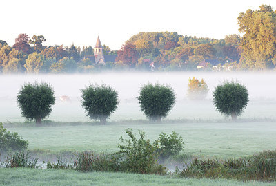 BUITEN BEELD Foto: 300549