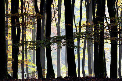 BUITEN BEELD Foto: 300554