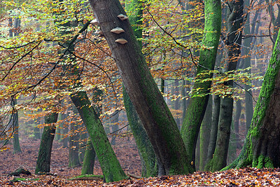 BUITEN BEELD Foto: 300566