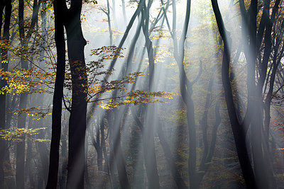 BUITEN BEELD Foto: 300567