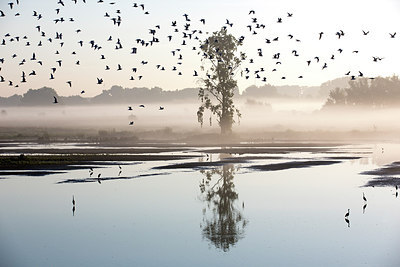 BUITEN BEELD Foto: 300618