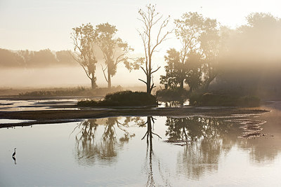 BUITEN BEELD Foto: 300622