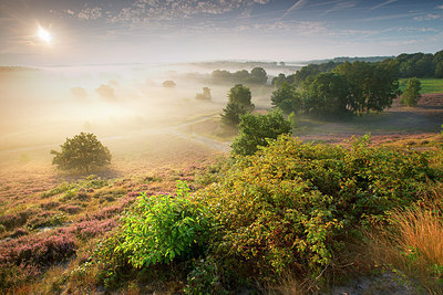 BUITEN BEELD Foto: 300634