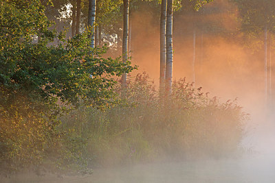 BUITEN BEELD Foto: 300636