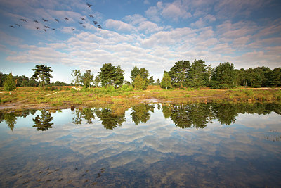 BUITEN BEELD Foto: 300642