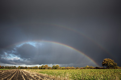BUITEN BEELD Foto: 300697