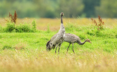 BUITEN BEELD Foto: 300715