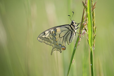 BUITEN BEELD Foto: 300738