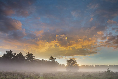 BUITEN BEELD Foto: 300765