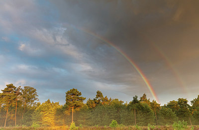 BUITEN BEELD Foto: 300768