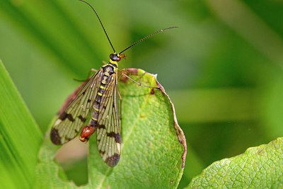 BUITEN BEELD Foto: 300786