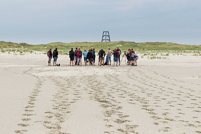 BUITEN BEELD Foto: 300847