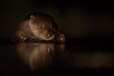 BUITEN BEELD Foto: 300854