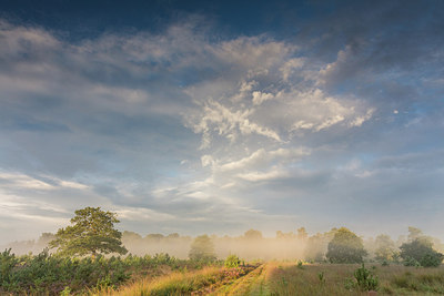 BUITEN BEELD Foto: 300867