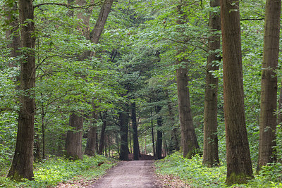 BUITEN BEELD Foto: 300880