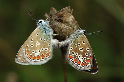 BUITEN BEELD Foto: 300893