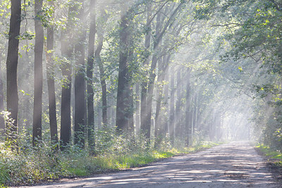 BUITEN BEELD Foto: 300908