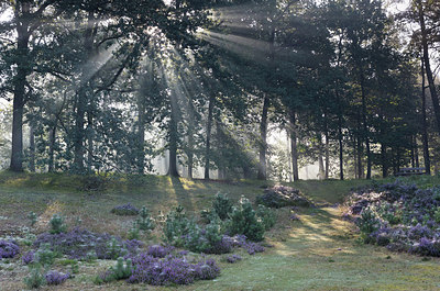 BUITEN BEELD Foto: 300909