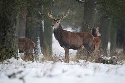 BUITEN BEELD Foto: 300914