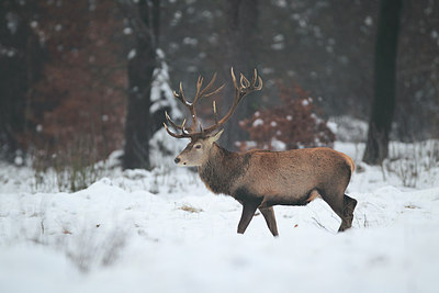 BUITEN BEELD Foto: 300916