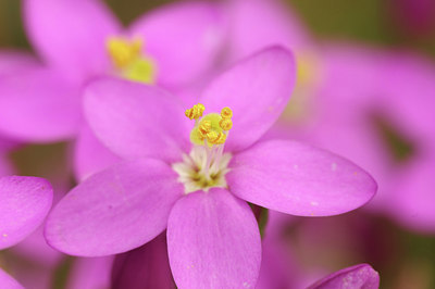 BUITEN BEELD Foto: 300931