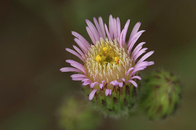 BUITEN BEELD Foto: 300940